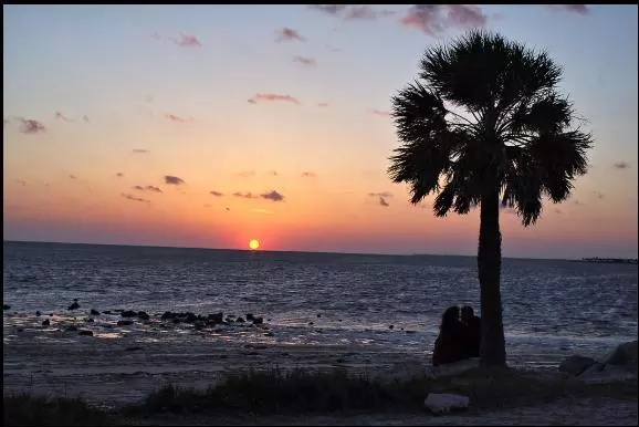 Coliving in Clearwater - Clearwater-St. Petersburg, Tampa