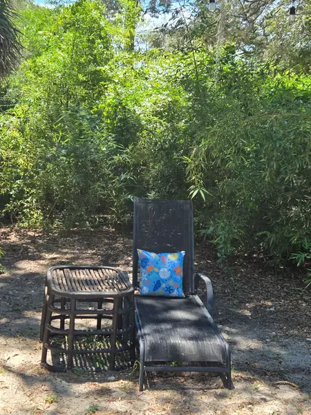 Coliving in Clearwater - Clearwater-St. Petersburg, Tampa