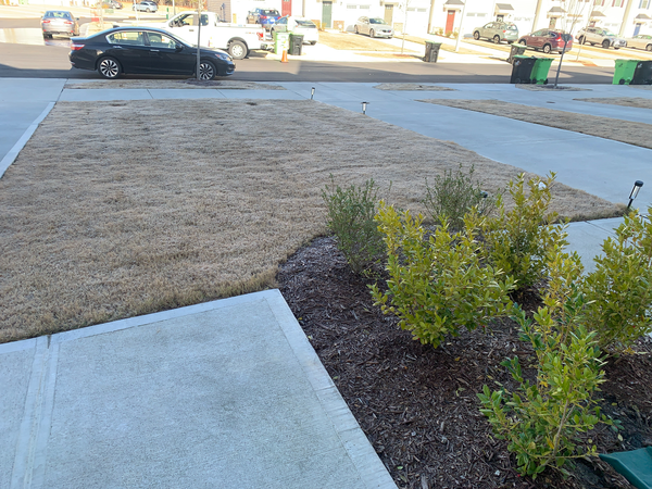 Coliving in Bryson Village - Outer Triangle, Raleigh