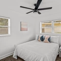 Coliving in Live Oaks Square - East Tampa, Tampa