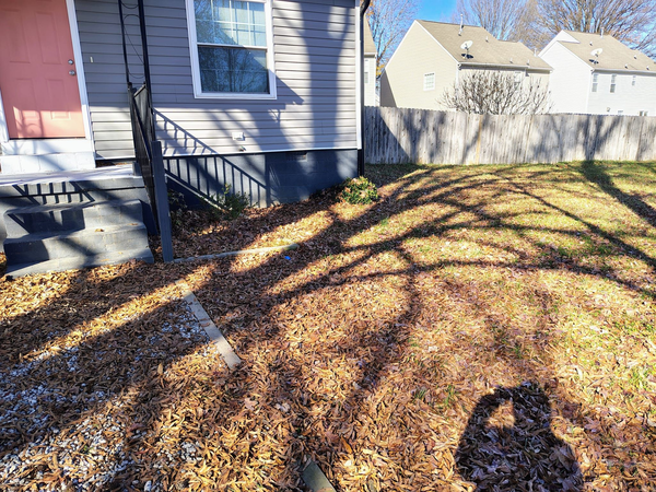 Coliving in NoDa - Central Charlotte, Charlotte