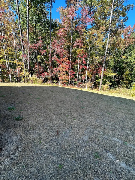 Coliving in Worthdale - South Raleigh, Raleigh