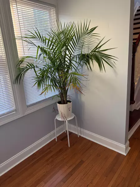 Coliving in Jersey City - Jersey City / Hoboken, New York