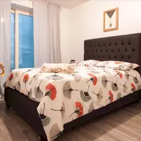Coliving in Williamsburg - Brooklyn, New York