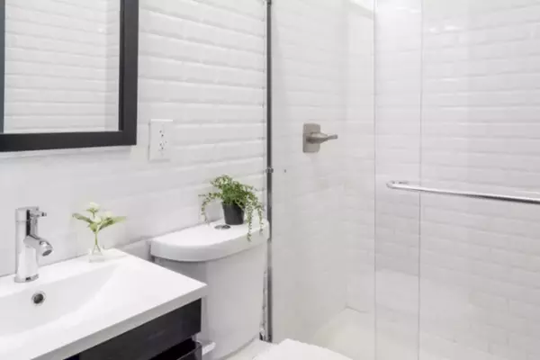 Coliving in Harlem - Manhattan, New York