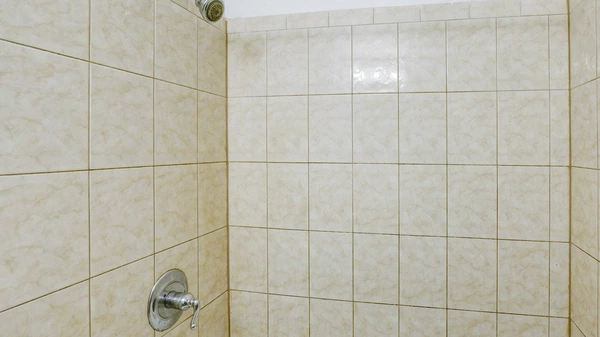 Coliving in East Lake-Orient Park - East Tampa, Tampa