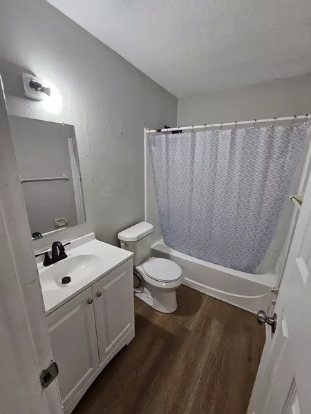 Coliving in Forest Hills Tampa - North Tampa, Tampa