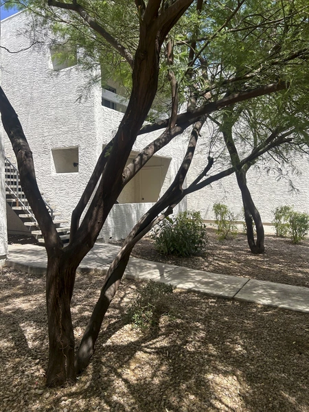 Coliving in Alhambra - Phoenix, Phoenix