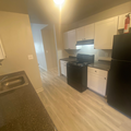 Coliving in East Greensboro - Greensboro, Greensboro