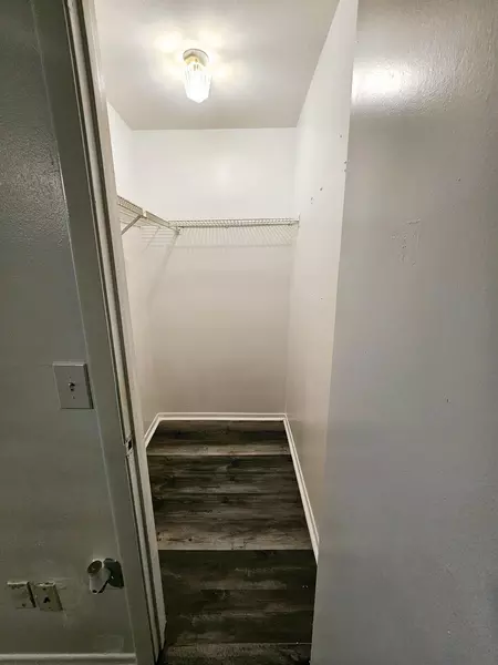 Coliving in Land O' Lakes - North Tampa, Tampa