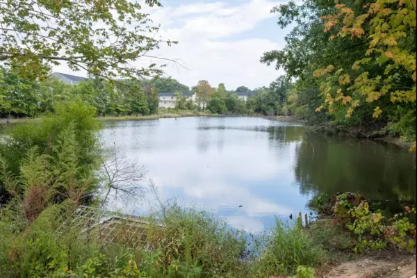 Coliving in Derita / Statesville - North Charlotte, Charlotte