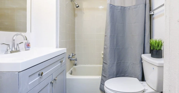 Coliving in Sulphur Springs - North Tampa, Tampa