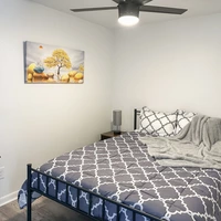 Coliving in University Square - North Tampa, Tampa