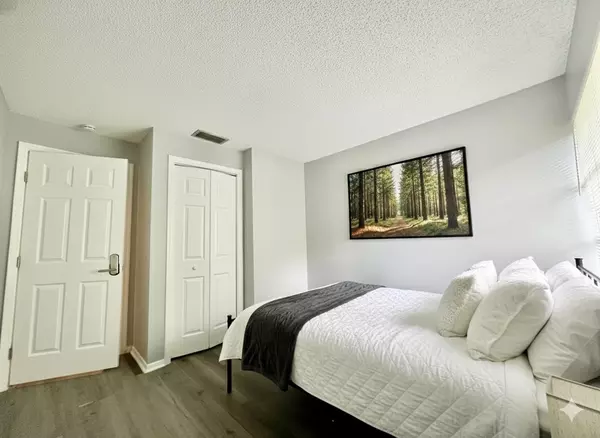 Coliving in Land O' Lakes - North Tampa, Tampa