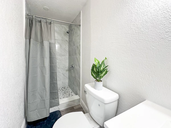 Coliving in University Square - North Tampa, Tampa