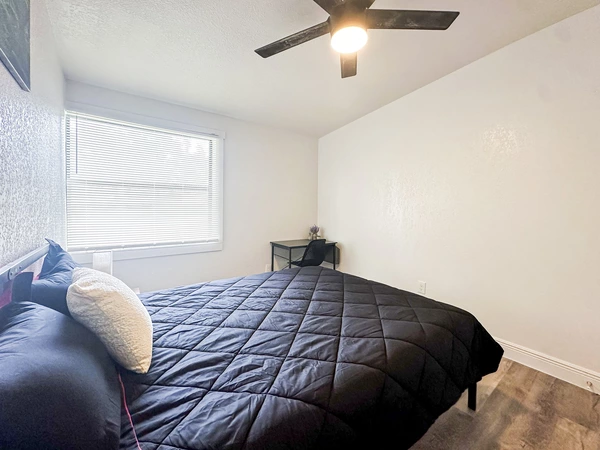 Coliving in University Square - North Tampa, Tampa