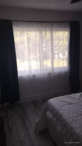 Coliving in Plantation - Broward County, Miami