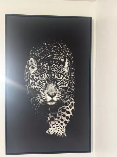 Coliving in West Park - Broward County, Miami