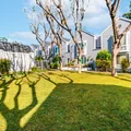 Coliving in Pasadena - The Verdugos, Los Angeles