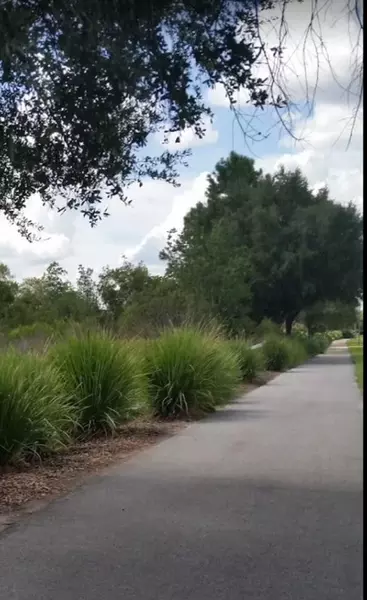 Coliving in Zephyrhills - North Tampa, Tampa