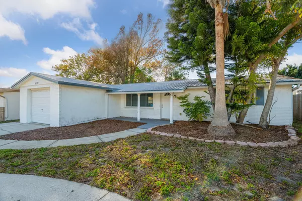 Coliving in Odessa - North Tampa, Tampa