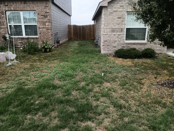 Coliving in South Southwest - South SATX, San Antonio