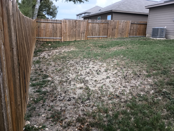 Coliving in South Southwest - South SATX, San Antonio