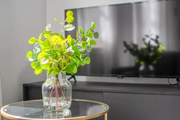 Coliving in North End - Boston, Boston