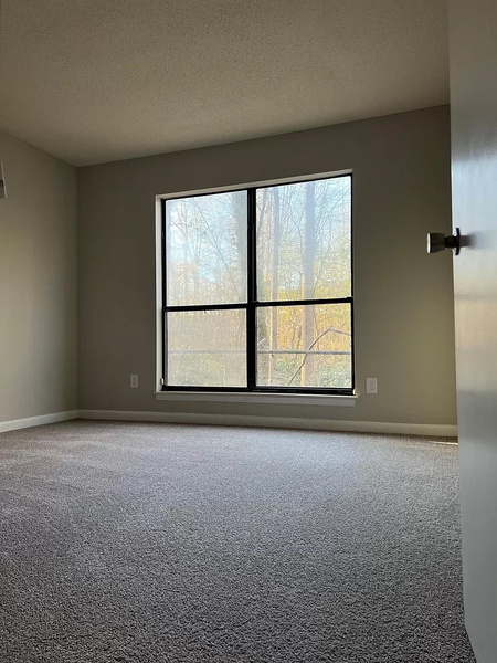 Coliving in Eastland - Wilora Lake - East Charlotte, Charlotte