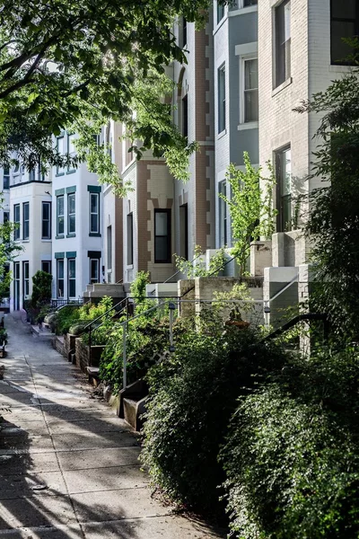 Coliving in Adams Morgan - NW DC, Washington DC