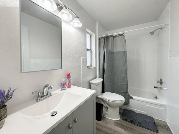 Coliving in Clearwater - Clearwater-St. Petersburg, Tampa