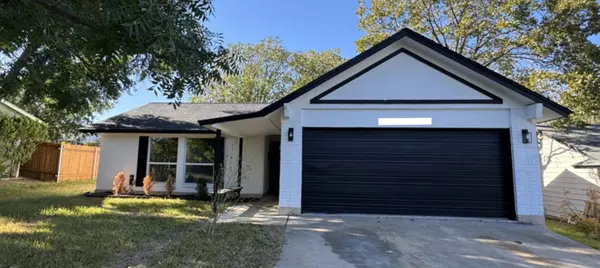 Coliving in North Austin Civic Association - North Austin, Austin