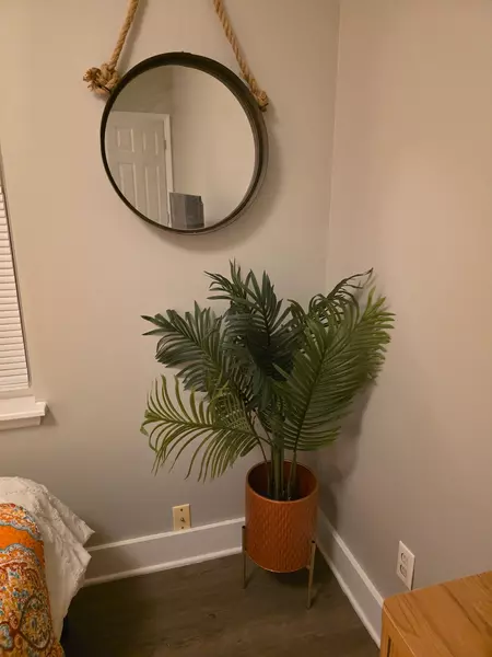 Coliving in East Durham - Durham, Raleigh