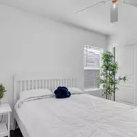 Coliving in Las Vegas - Las Vegas, Las Vegas