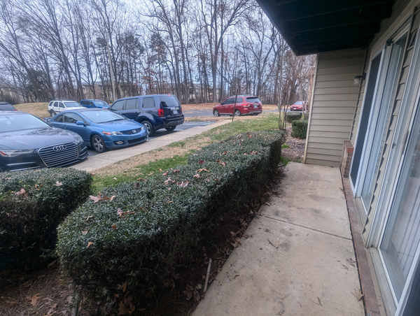 Coliving in College Downs - North Charlotte, Charlotte