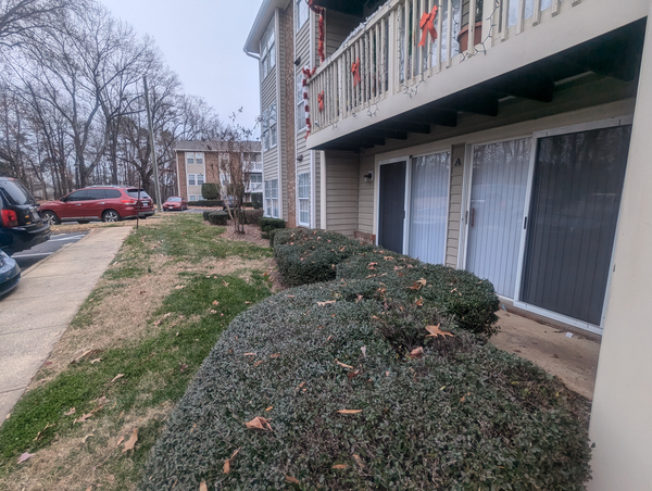 Coliving in College Downs - North Charlotte, Charlotte