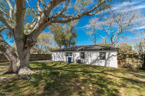 Coliving in Ballast Point - South Tampa, Tampa