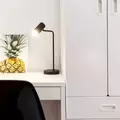 Coliving in Harlem - Manhattan, New York