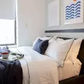 Coliving in Harlem - Manhattan, New York