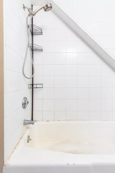 Coliving in Brighton - Boston, Boston