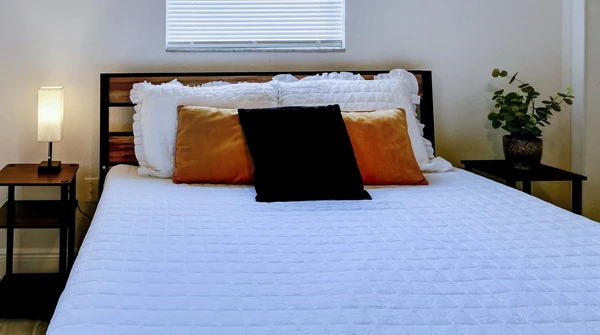 Coliving in Belmont Heights - East Tampa, Tampa