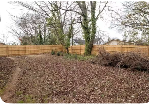 Coliving in East Durham - Durham, Raleigh