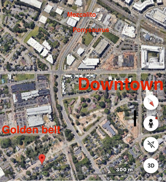 Coliving in East Durham - Durham, Raleigh