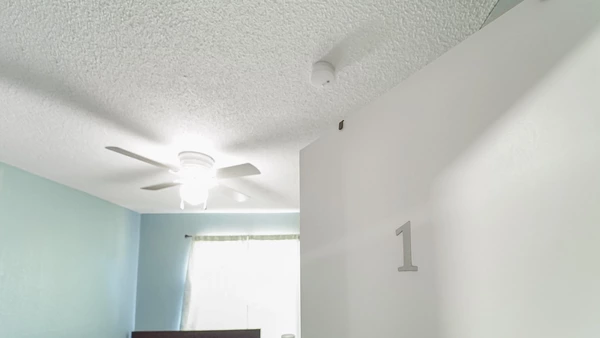 Coliving in Orlovista - West Orlando, Orlando