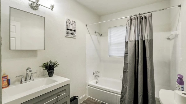 Coliving in Forest Hills Tampa - North Tampa, Tampa