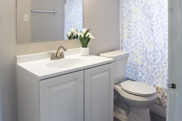 Coliving in University Square - North Tampa, Tampa