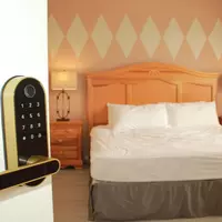 Coliving in Bay Lake - South Orlando, Orlando