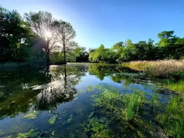 Coliving in Southeast Austin - South Austin, Austin