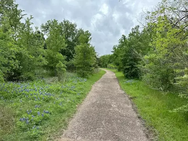 Coliving in Southeast Austin - South Austin, Austin