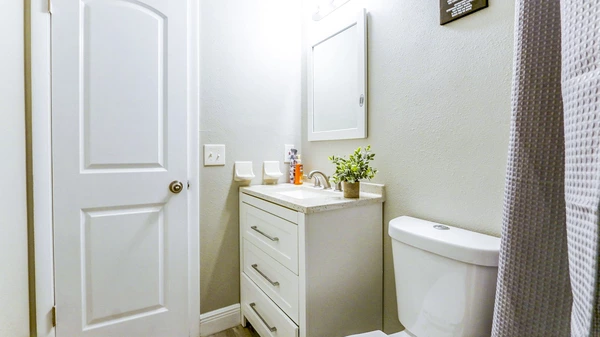 Coliving in Lowry Park North - North Tampa, Tampa